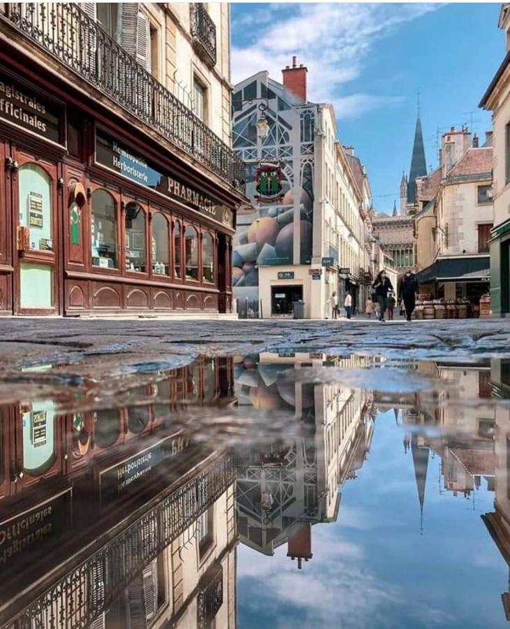 Charmante Maison Climatisee Avec Son Jardin A 5 Minutes De Dijon Saint-Apollinaire  المظهر الخارجي الصورة